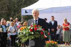 wojny15
