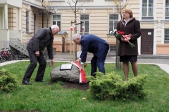 2.odsłonięcie dębu niepodległości